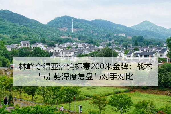 lin-feng-duo-de-ya-zhou-jin-biao-sai-mi-jin-pai-zhan-shu-yu-zou-shi-shen-du-fu-pan-yu-dui-shou-dui-bi-2-535.jpg